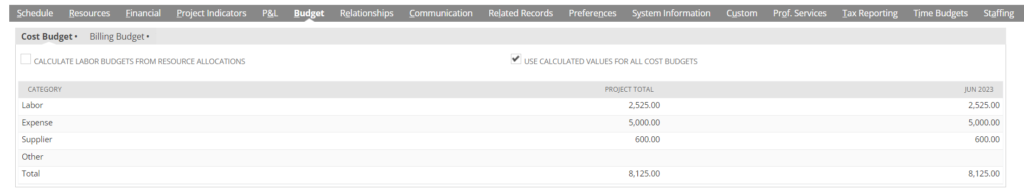 NetSuite project budgeting