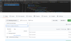 version control netsuite project