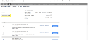 NetSuite Boomi database query