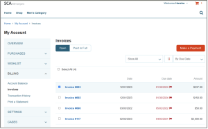 suitecommerce advanced make payments